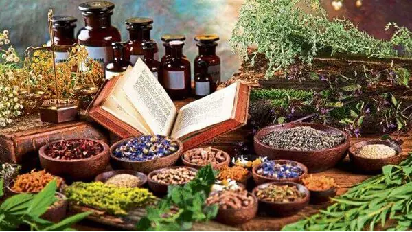 Certificate in Ayurveda & Herbal Medicine